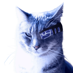 CyberCat